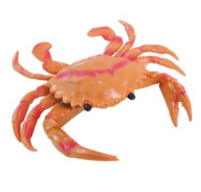 Novelty Simulated Crab Model Lifelike Durable Plastic Kids Educational Toys